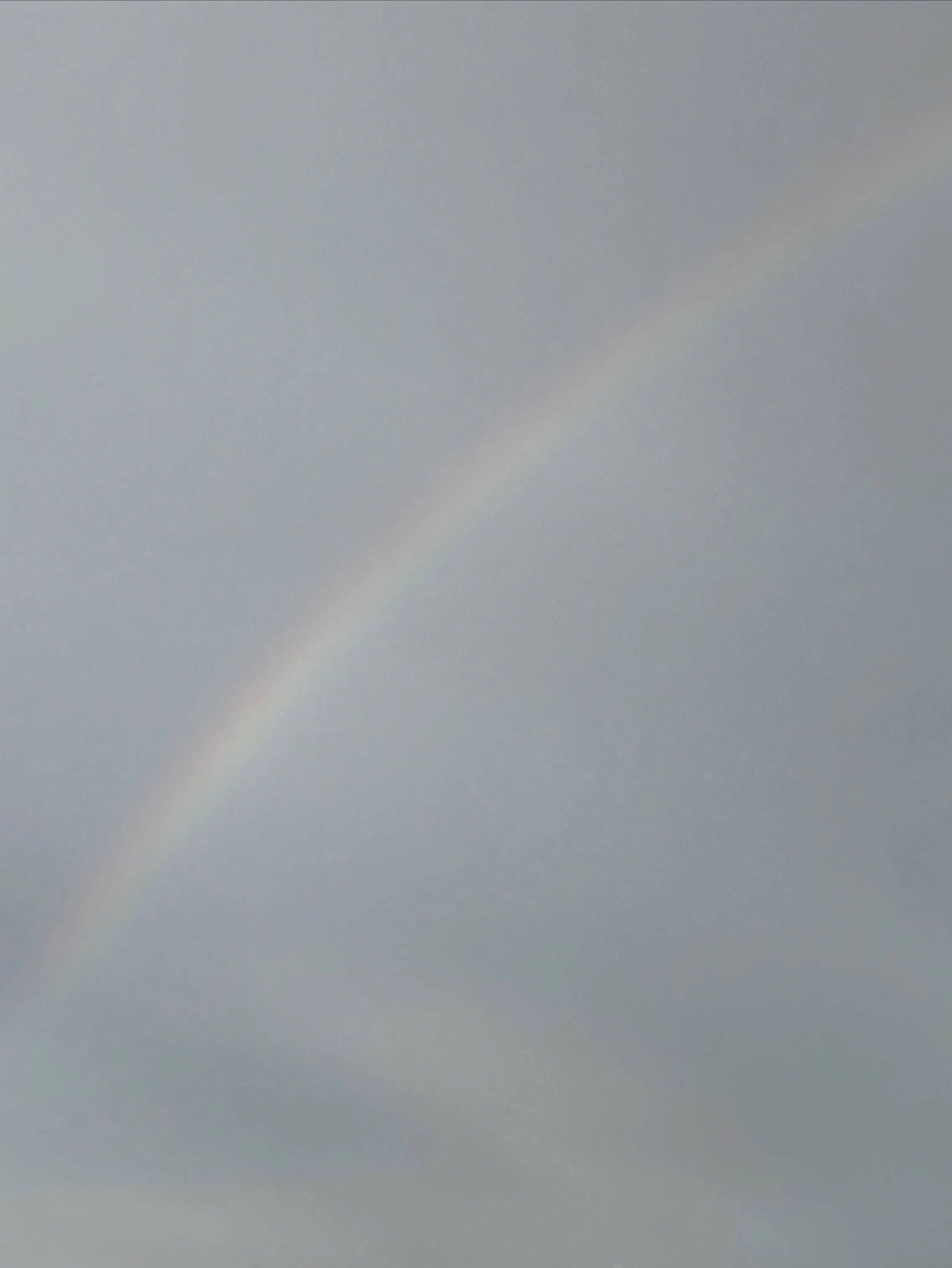 こんばんは和田屋です🌙