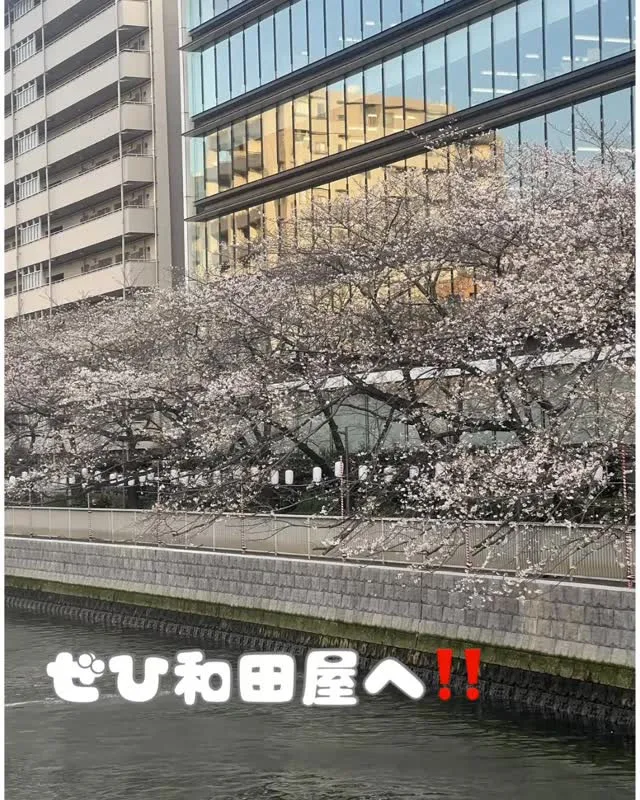 こんにちは‼️和田屋です‼️